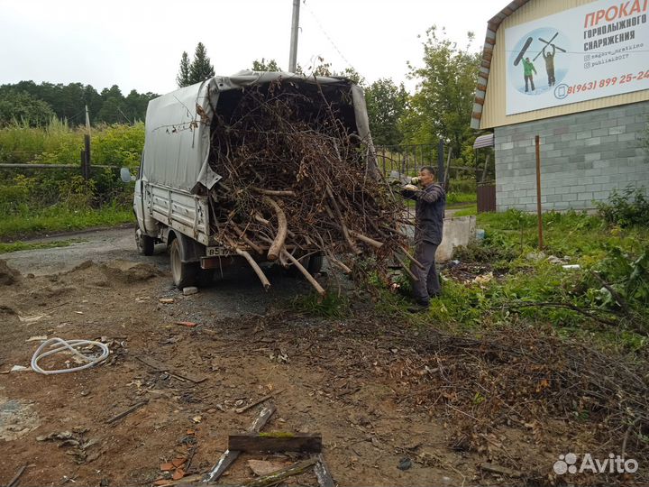 Вывоз мусора с грузчиками