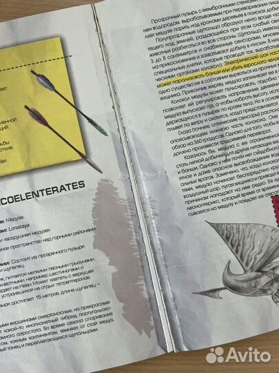 Книга Мария Вильгельм и Дирк Мэтисон 