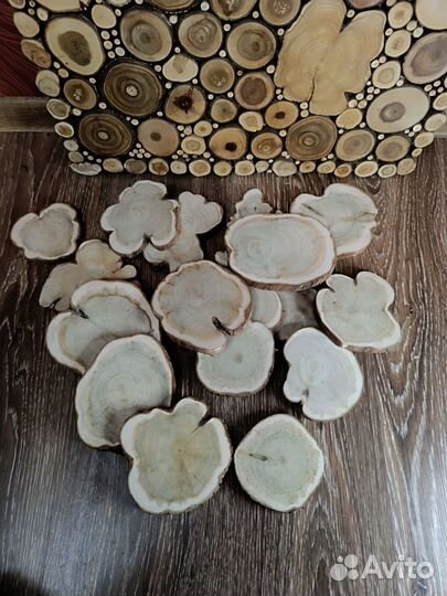 Набор спилов можжевельника для декора и творчества