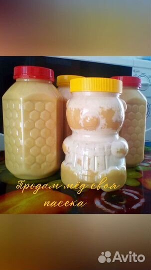 Продам прополис