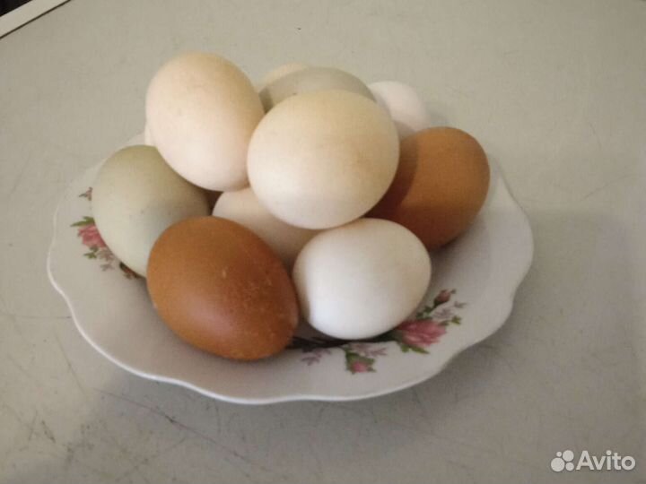 Яйцо куриное