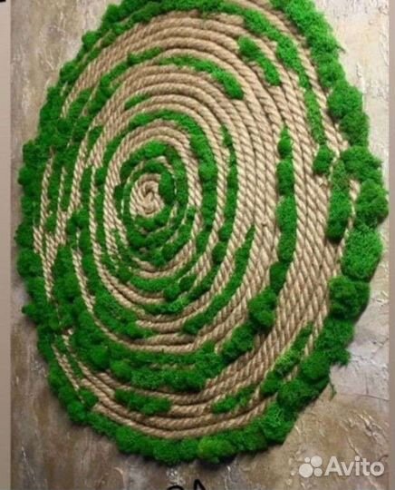 Картина из стабилизированного мха