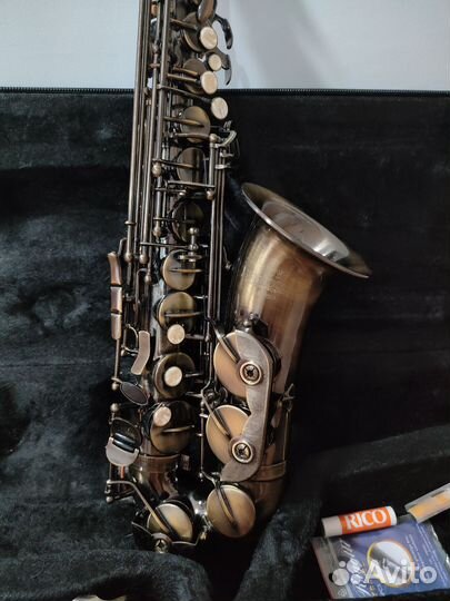 Roy Benson AS-202A Eb альт-саксофон