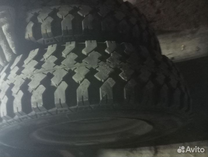 Forward Professional 139