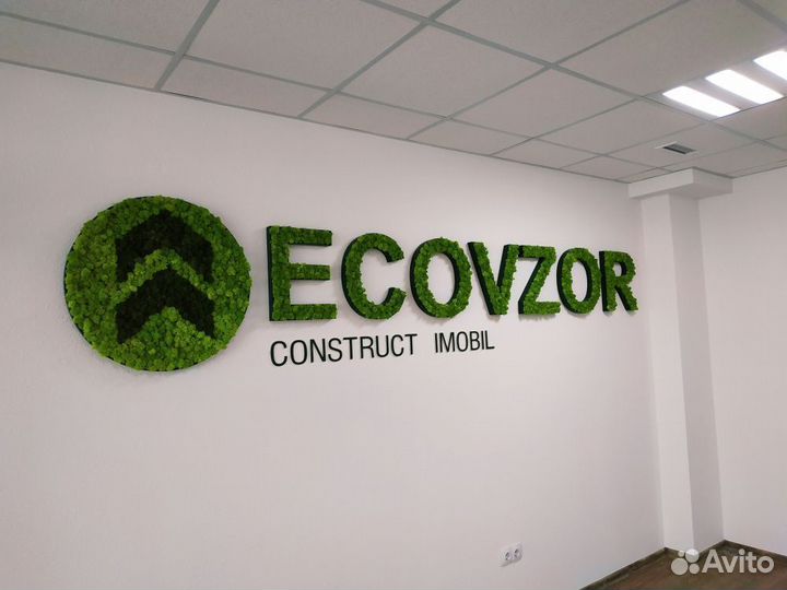 Название компании из мха без растений