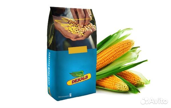 Семена Кукурузы