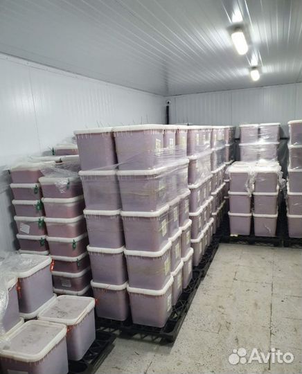 Красная икра оптом 2023г