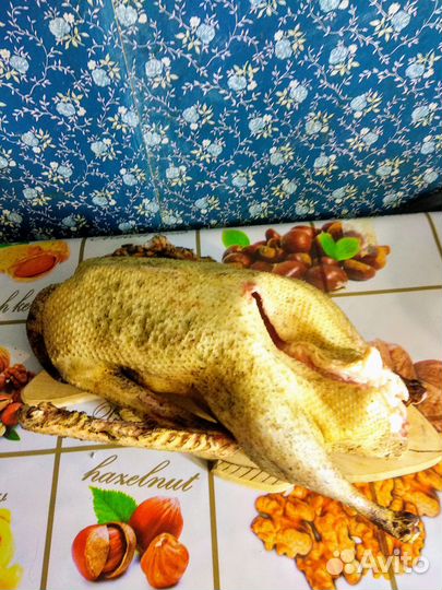 Продам гусей на племя или на мясо