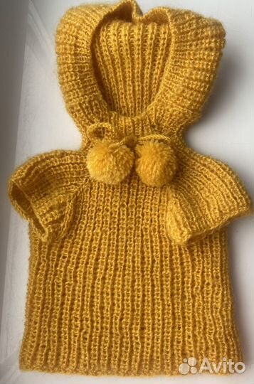 Одежда для животных