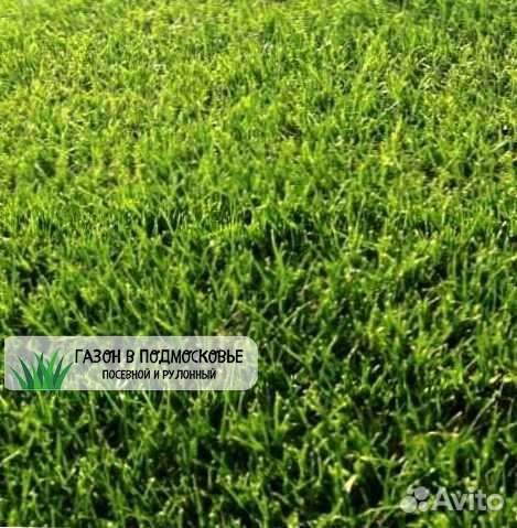 Газон. Рулонный газон