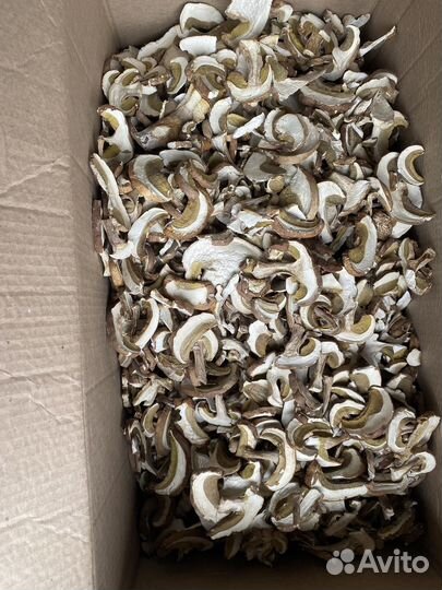 Грибы белые сушеные