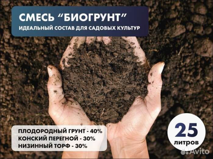 Торф 30%, конский перегной 30%, плодородная почва