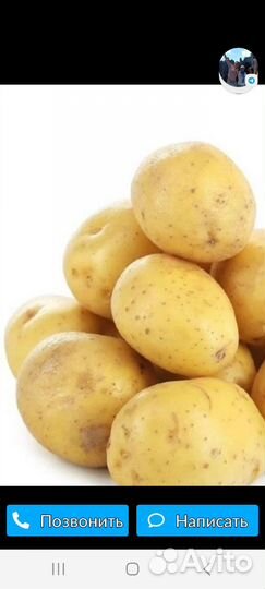 Продам картофель