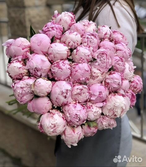 Пионы Букеты Доставка 24/7 Цветы Корзины