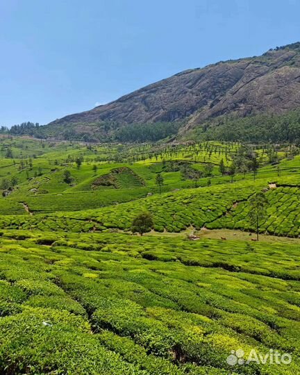 Переводчик хинди - русский язык