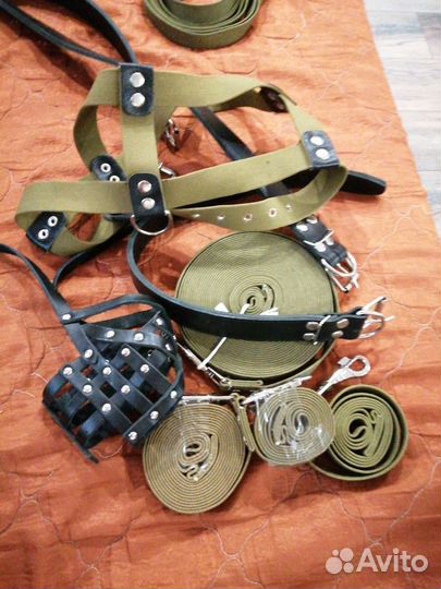 Аксессуары для собак