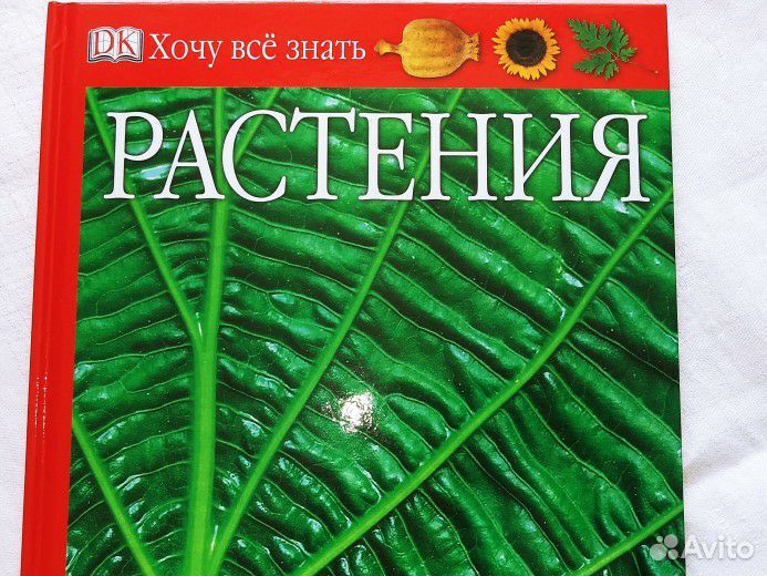 Детские книги из серии 