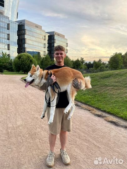 Доставка животных