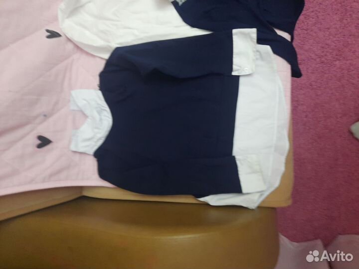 Отдам за корм, пеленки для щенка