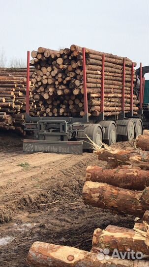 Лес кругляк тонкомер