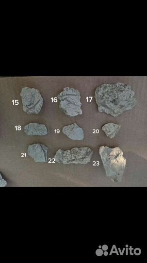 Интересные камни и окаменелости