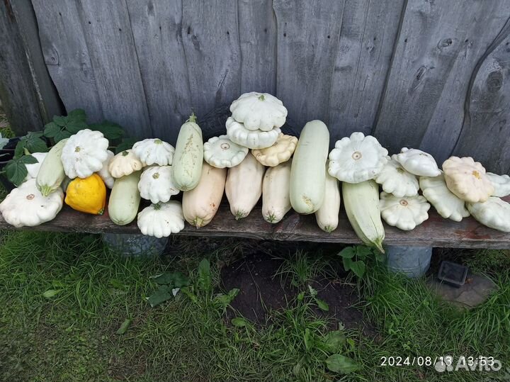 Кабачки, паттисоны,тыква с доставкой