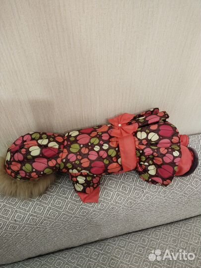 Комбинезон для собак мелких пород