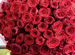 Розы Тюльпаны Пионы Доставка
