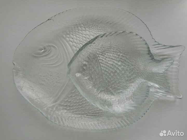 Рыбницы стеклянные