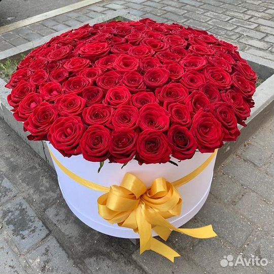 101роза/белые розы/белый роза