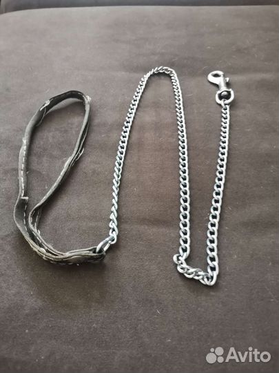 Ошейник, поводок, рулетка, намордник