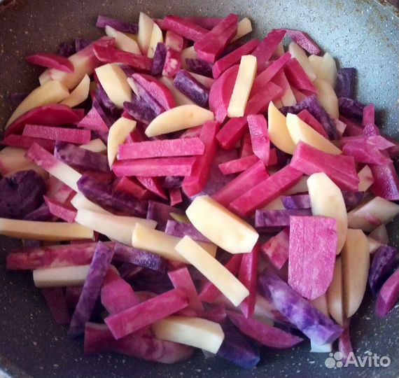 Семенной картофель Барс, Уника, Лапоть, Адретта