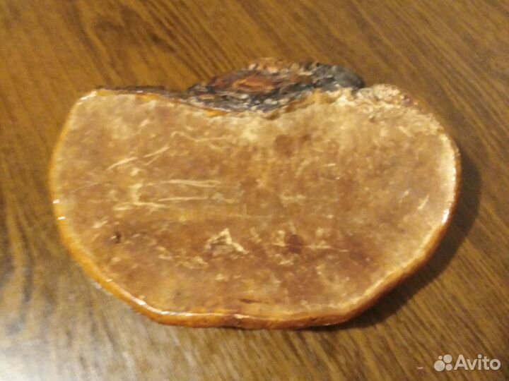 Сувенир. Гриб чага натуральный