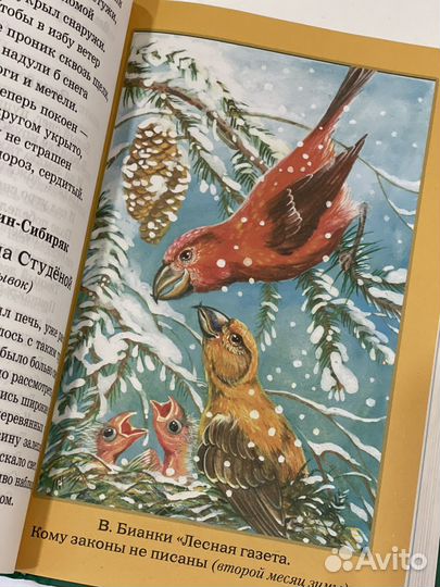 Учебник для внеклассного чтения