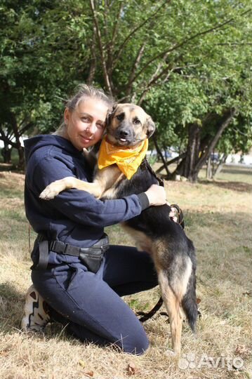 Никс-молоденький, чудесный песик-подросток ищет