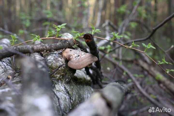 Tamron SP AF 45mm f/1.8 Di VC USD F013 Nikon F
