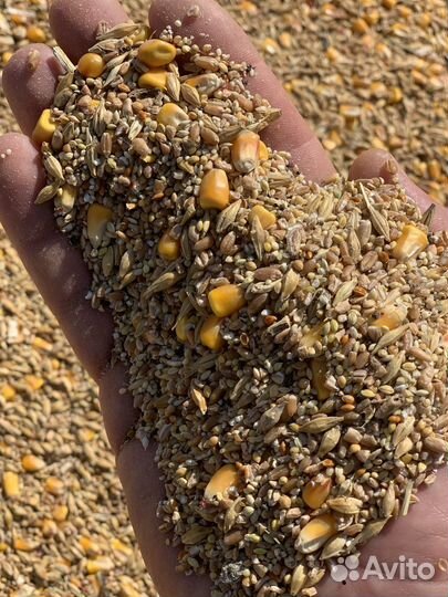 Зерносмесь (гранулированный корм для животных )