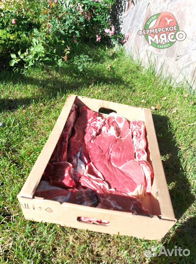 Мясо говядина