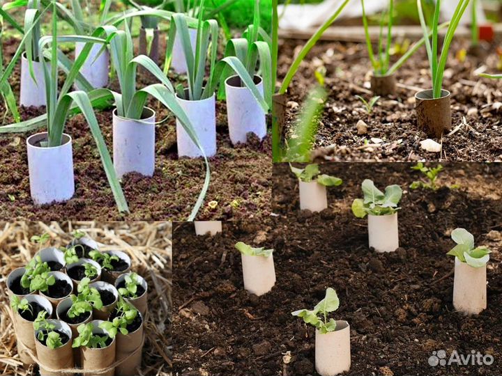 Горшочки для рассады бумажные