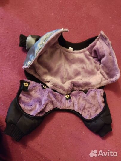 Одежда для самых маленьких питомцев