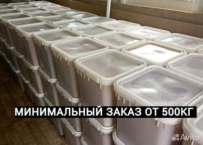 Оптом Мед с Алтая