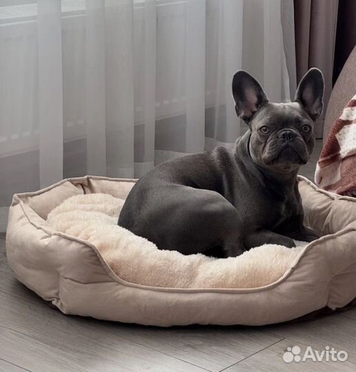 Лежанка для собак