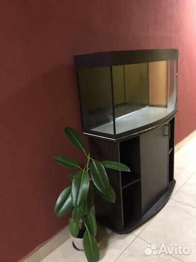 Аквариум 200 л с тумбой и крышкой