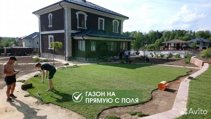 Рулонный газон с бесплатным замером