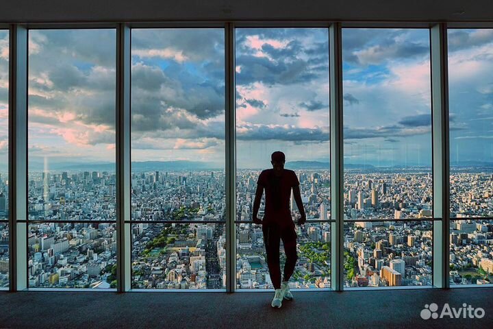 Инвестиции Wildberries Инвестор Партнер (доля ооо)