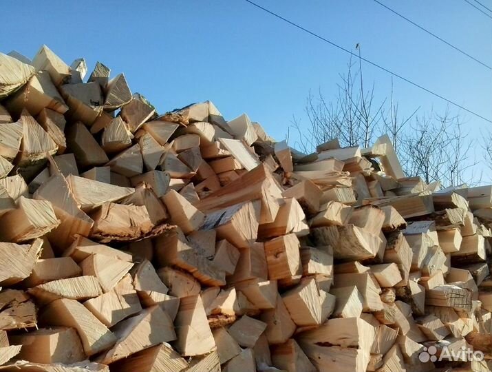 Дрова осина