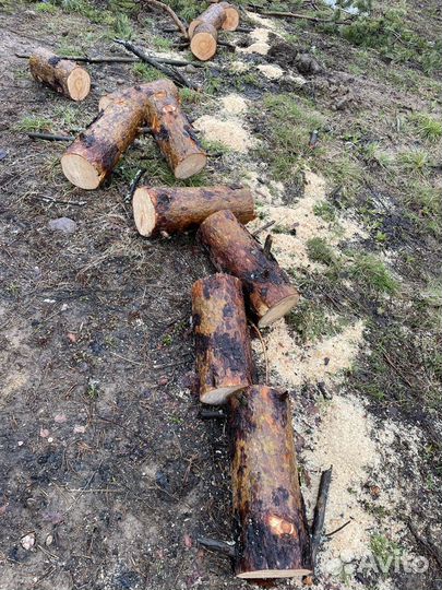 Дрова бесплатно самовывоз