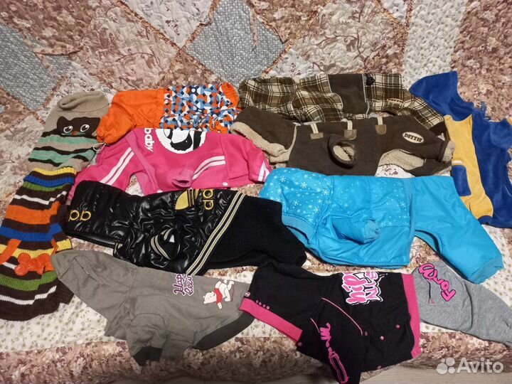 Одежда для мелких собак