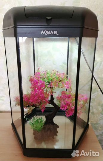 Аквариум aquael set шестигранный 20 л