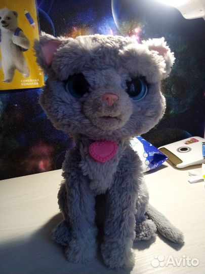 Кот фуриал френдс